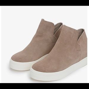 steve madden wrangle suede sneakers